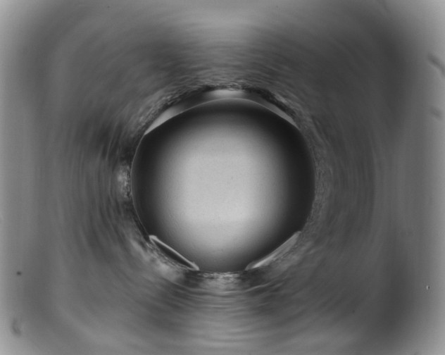 X0000099480288200805161142