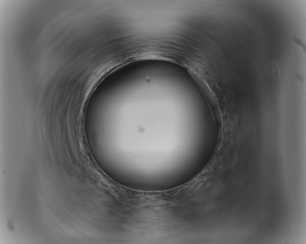 X0000099480289200805161141
