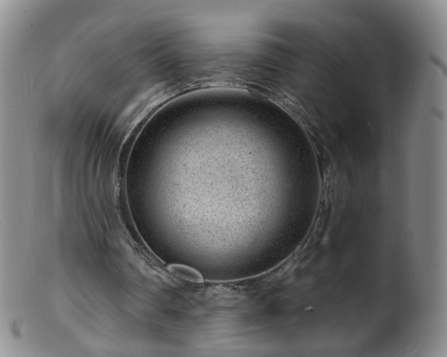 X0000099480290200805161141