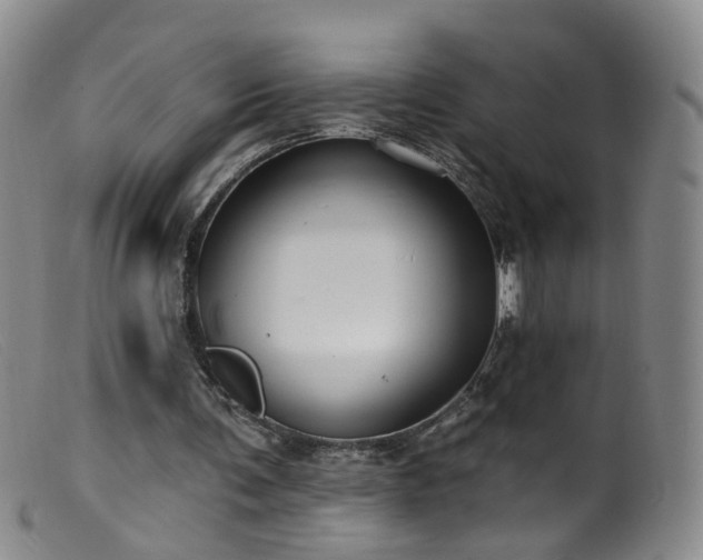 X0000099480291200805161141