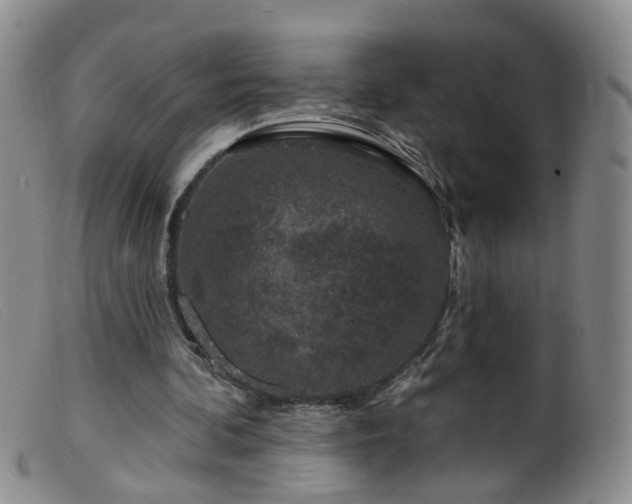 X0000099480292200805161141