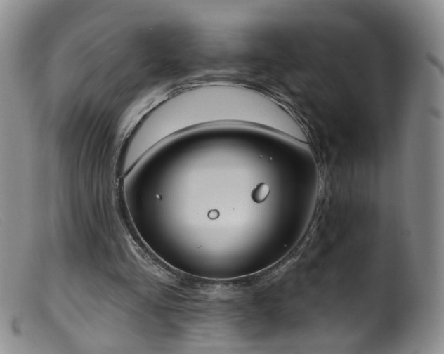 X0000099480293200805161141
