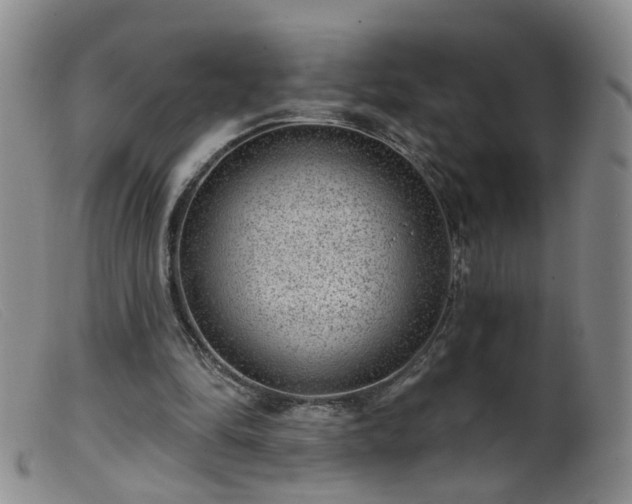 X0000099480294200805161141