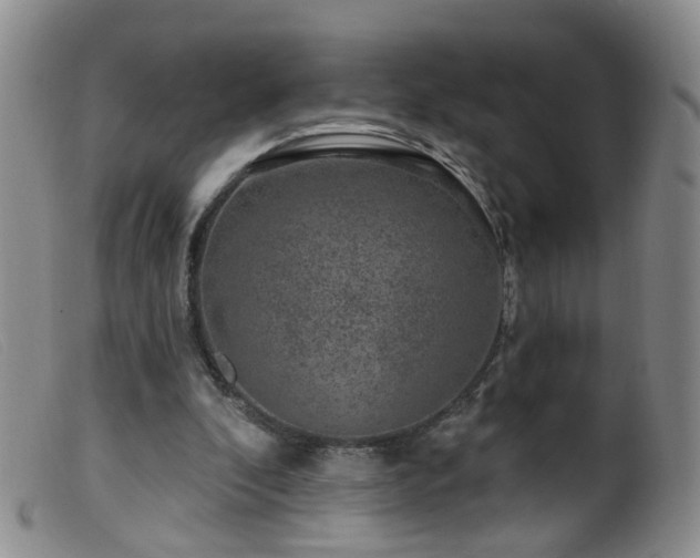 X0000099480296200805161141