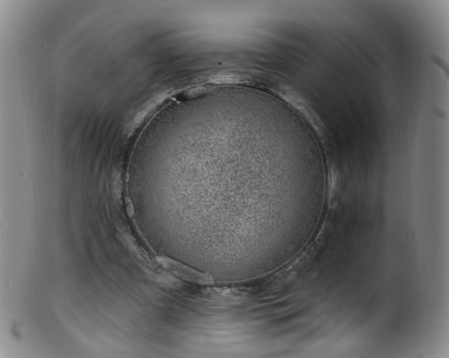 X0000099480297200805161141