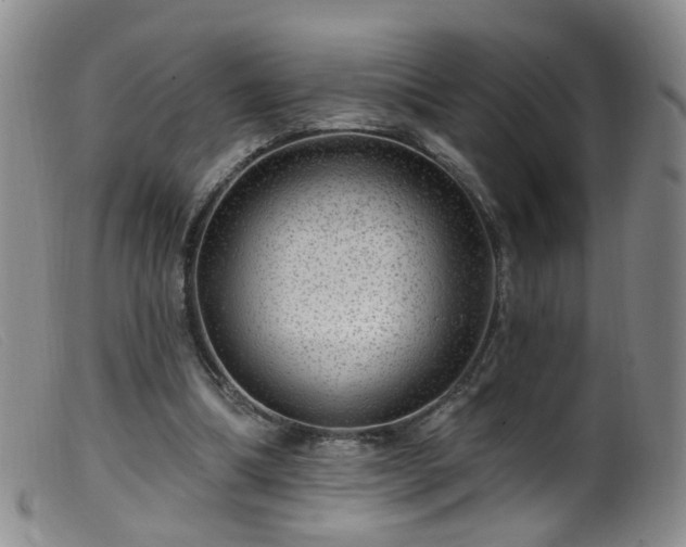 X0000099480298200805161141