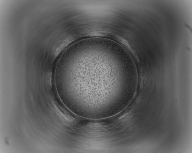 X0000099480299200805161141