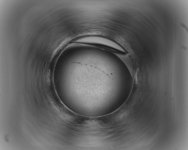X0000099480300200805161141