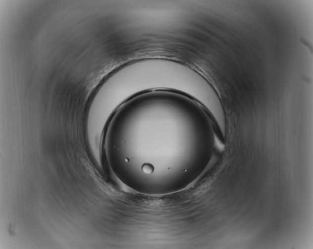 X0000099480301200805161141