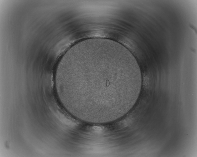 X0000099480302200805161141