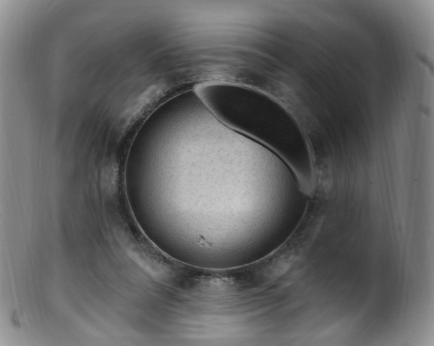 X0000099480304200805161141