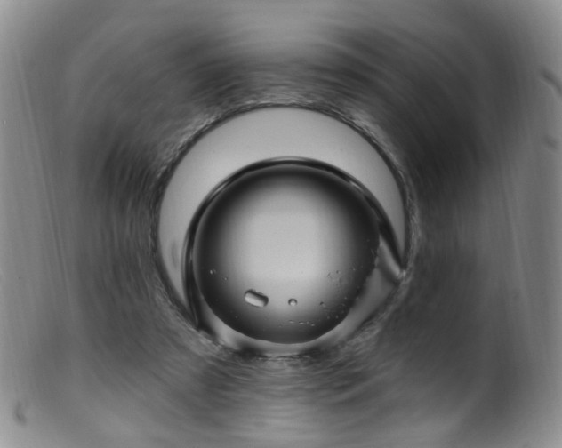 X0000099480305200805161141