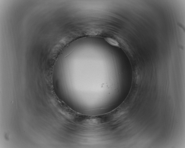 X0000099480307200805161141