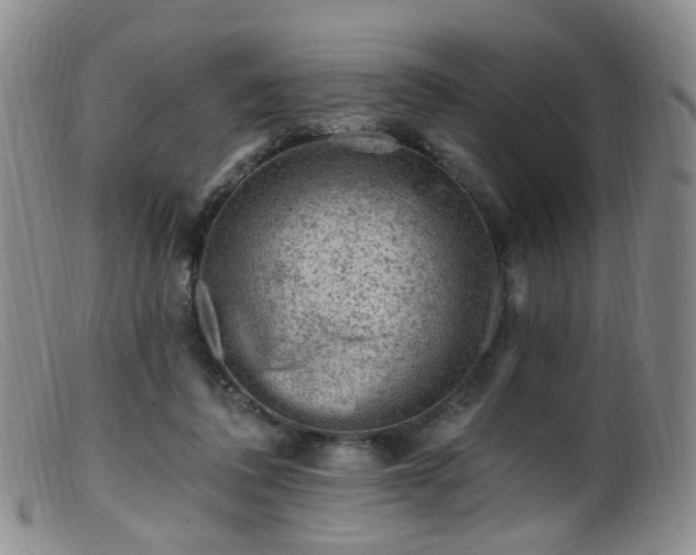 X0000099480308200805161141