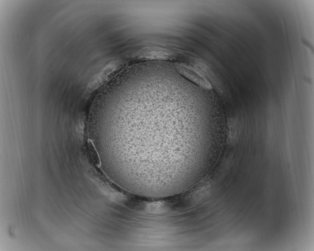 X0000099480309200805161141