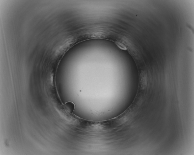 X0000099480310200805161141