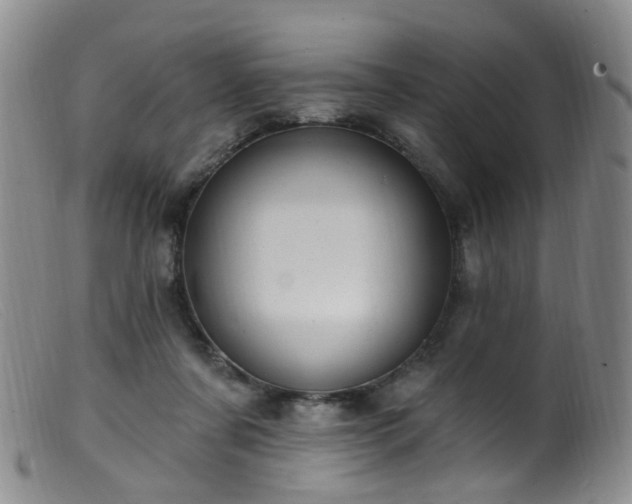 X0000099480311200805161141