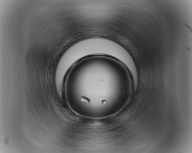 X0000099480312200805161141