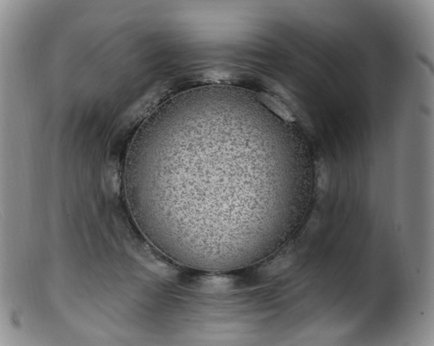 X0000099480313200805161141