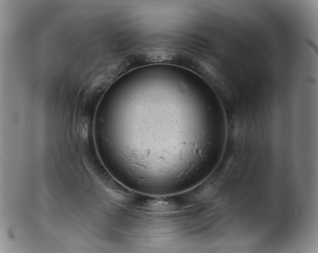 X0000099480315200805161141