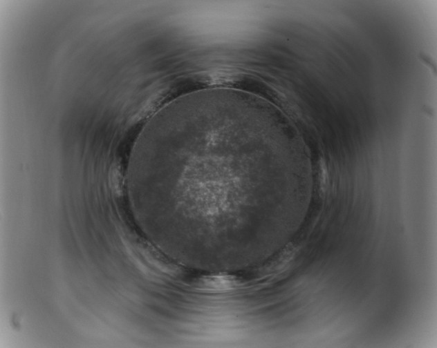 X0000099480316200805161141