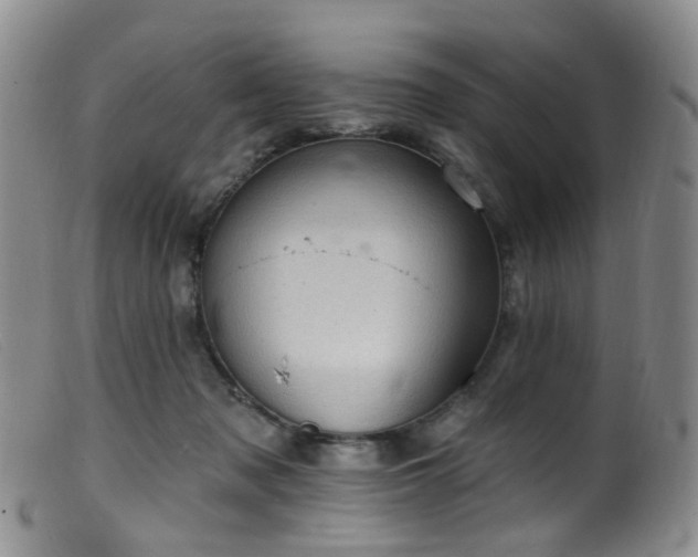 X0000099480317200805161141