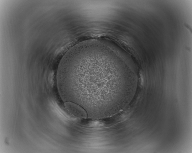 X0000099480319200805161141