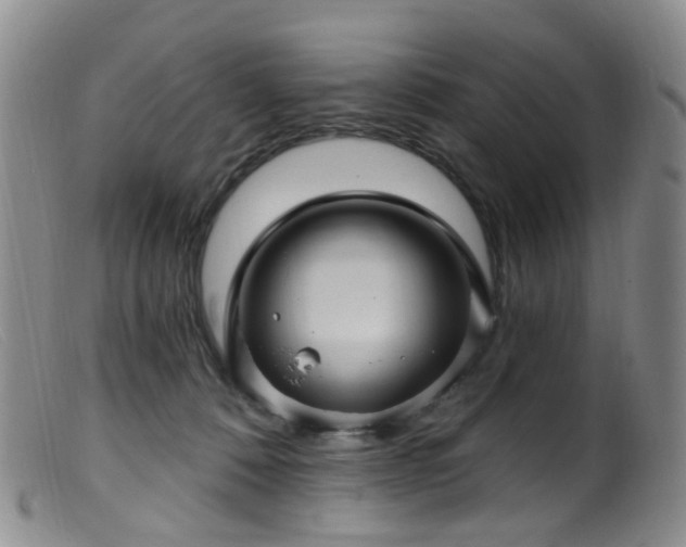 X0000099480320200805161141