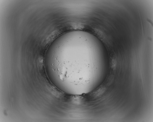 X0000099480321200805161141