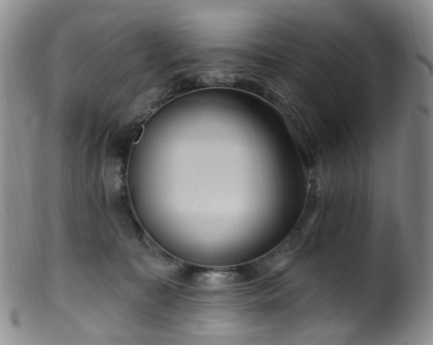 X0000099480323200805161141