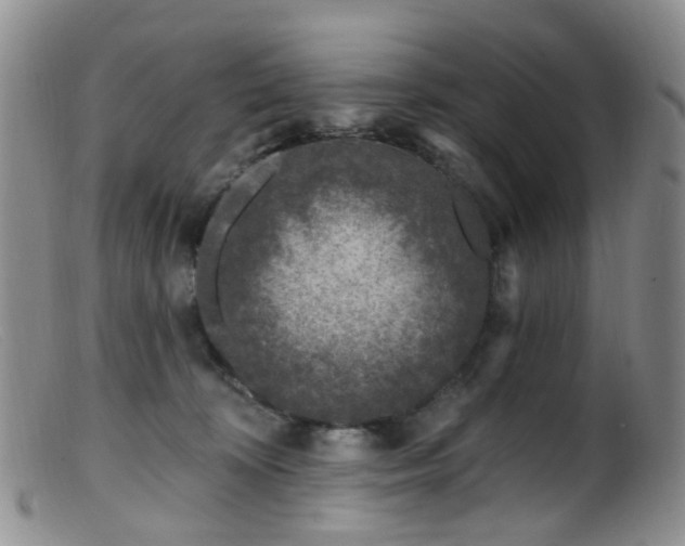 X0000099480324200805161141