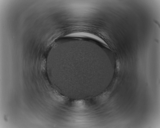 X0000099480325200805161141