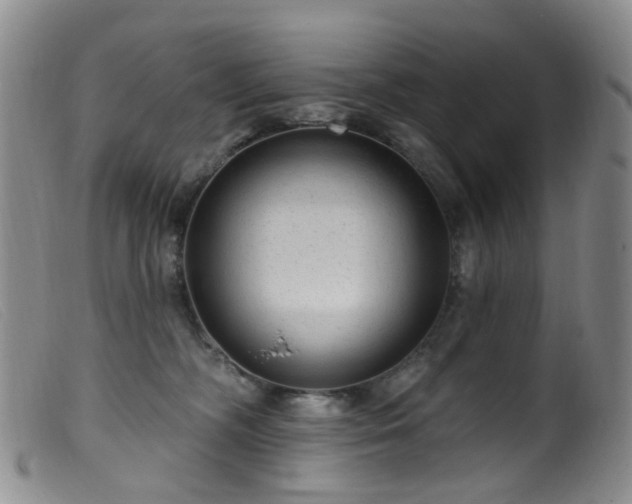 X0000099480326200805161141