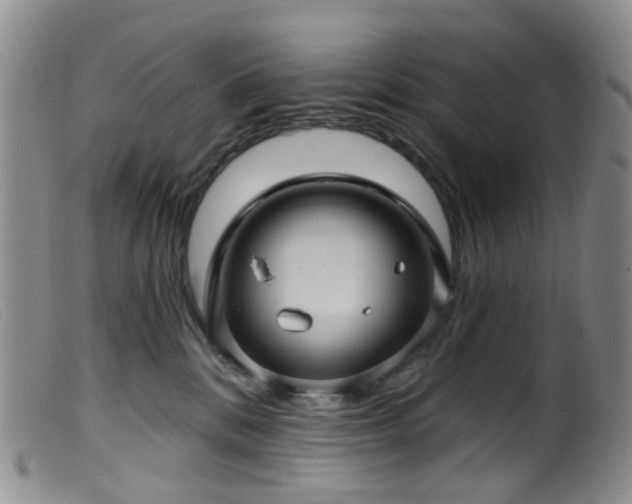 X0000099480328200805161141
