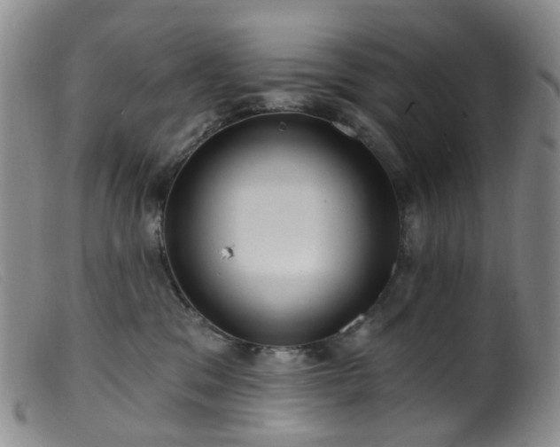 X0000099480329200805161141