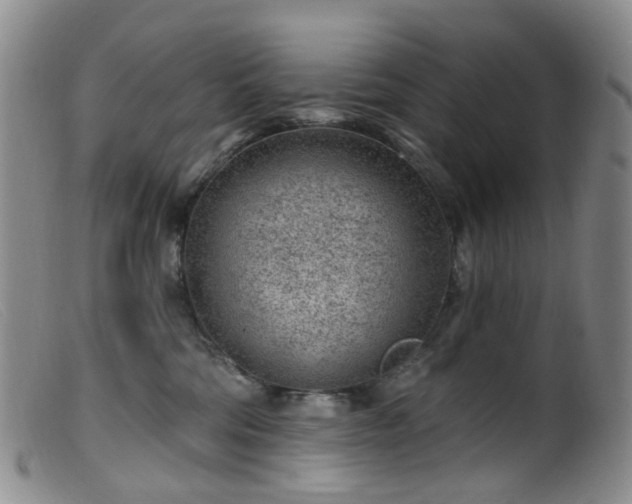 X0000099480330200805161141