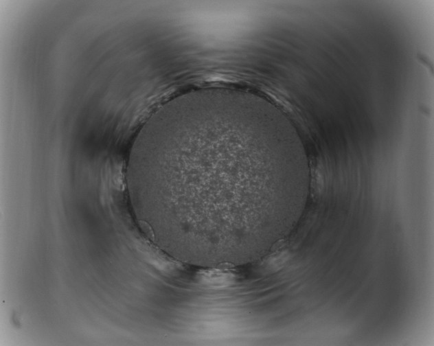 X0000099480331200805161141