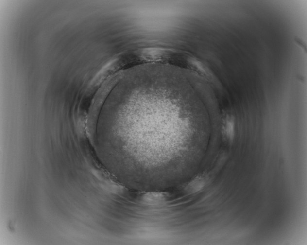 X0000099480332200805161141