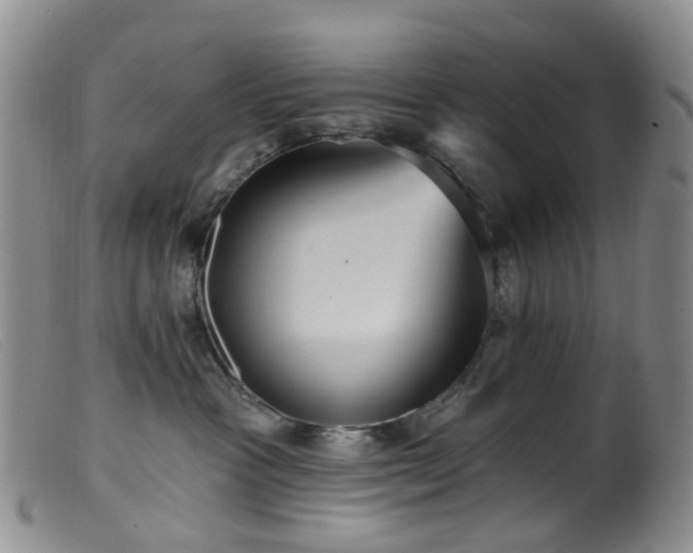 X0000099480333200805161141