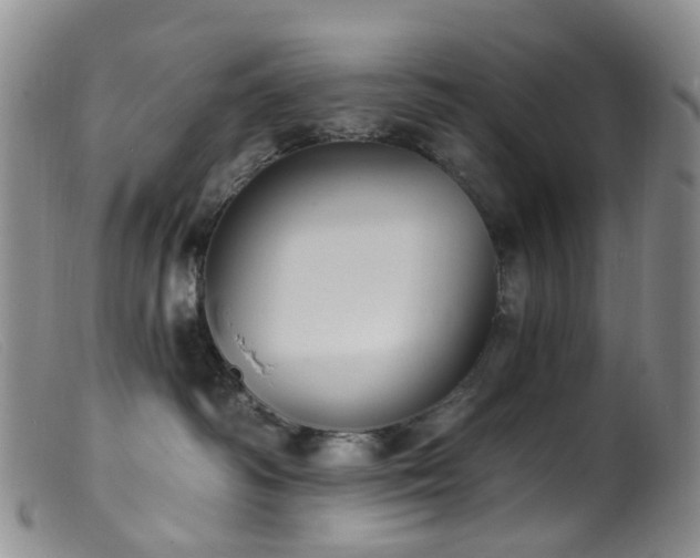 X0000099480334200805161141