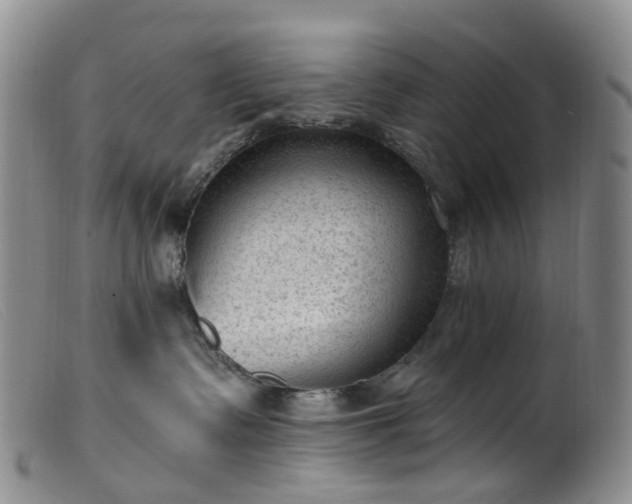 X0000099480335200805161141