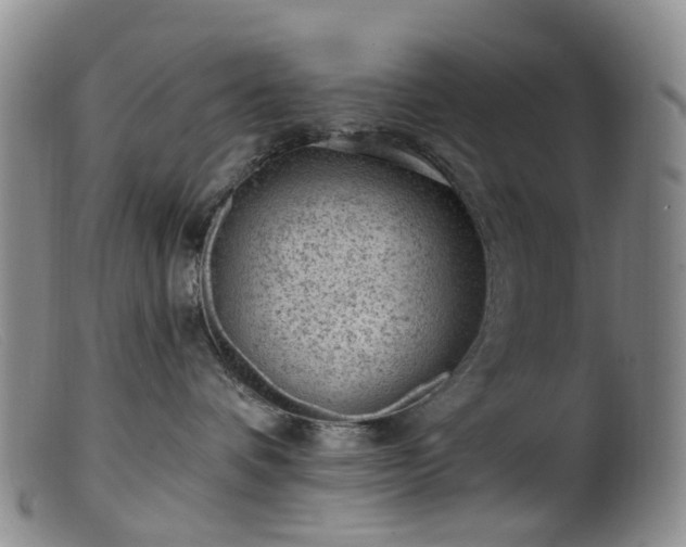 X0000099480336200805161141