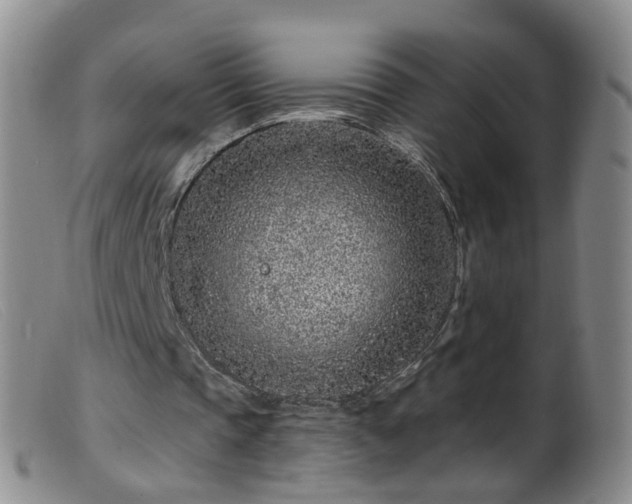 X0000099480337200805161140
