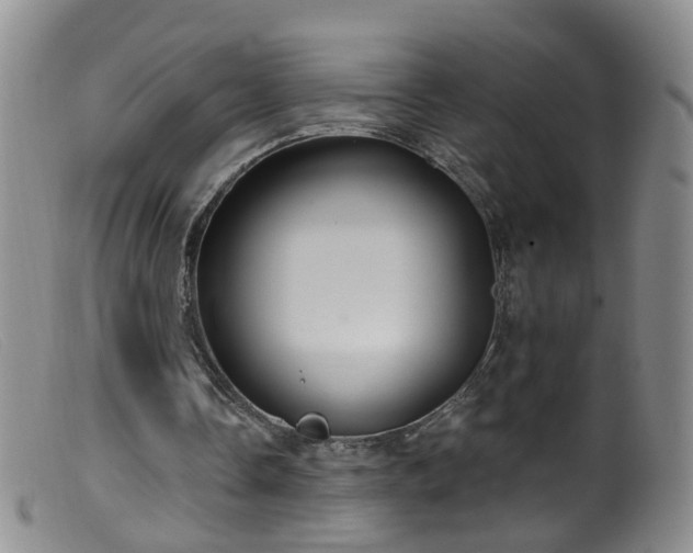 X0000099480338200805161140