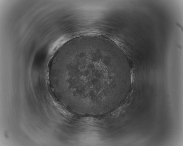 X0000099480339200805161140
