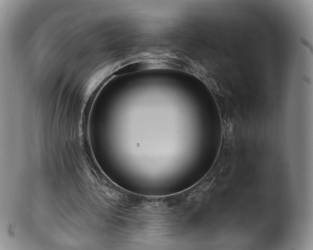X0000099480340200805161140