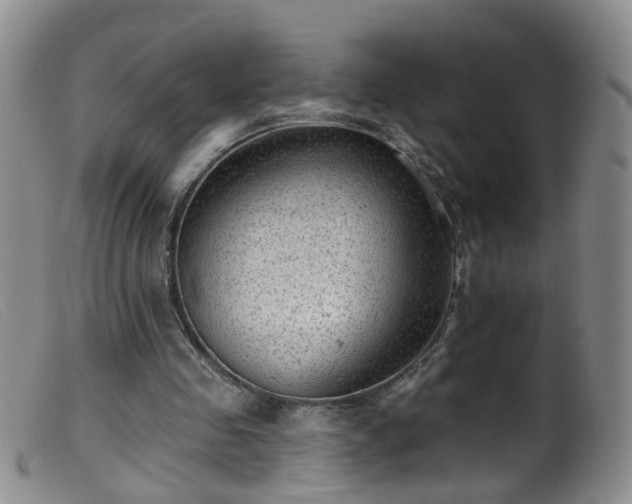 X0000099480341200805161140