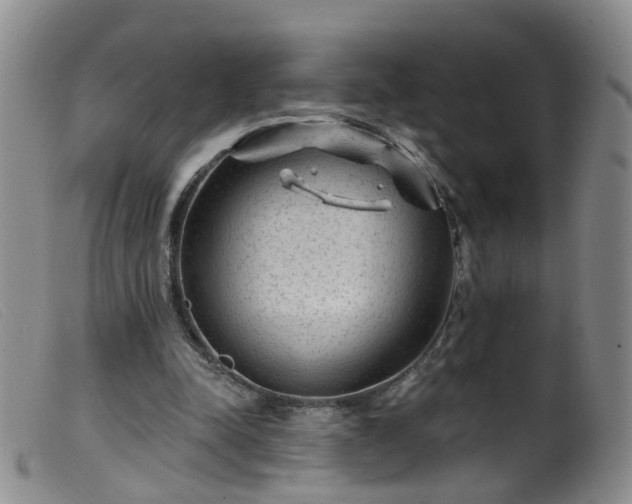 X0000099480342200805161140