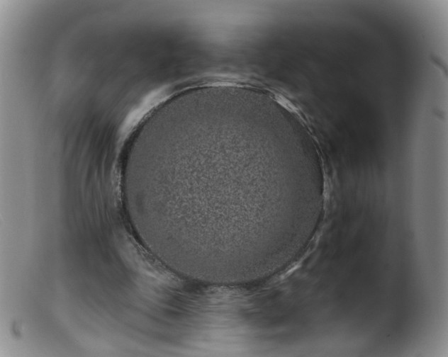X0000099480343200805161140