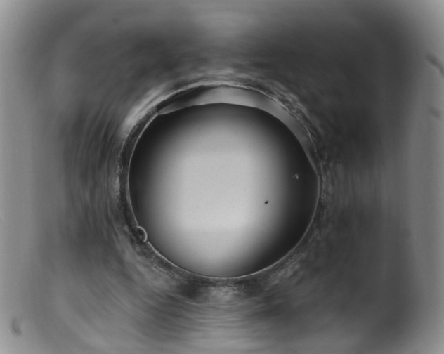 X0000099480344200805161140